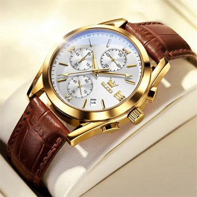 Luminous Quartz Watch